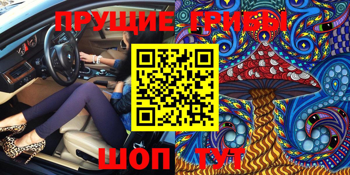 Псилоцибиновые грибы Cubensis  Вход с VPN  Саранск 